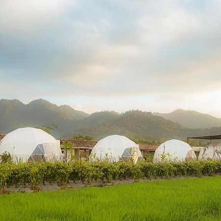 Borobudur Luxury Glamping 马格朗 外观 照片
