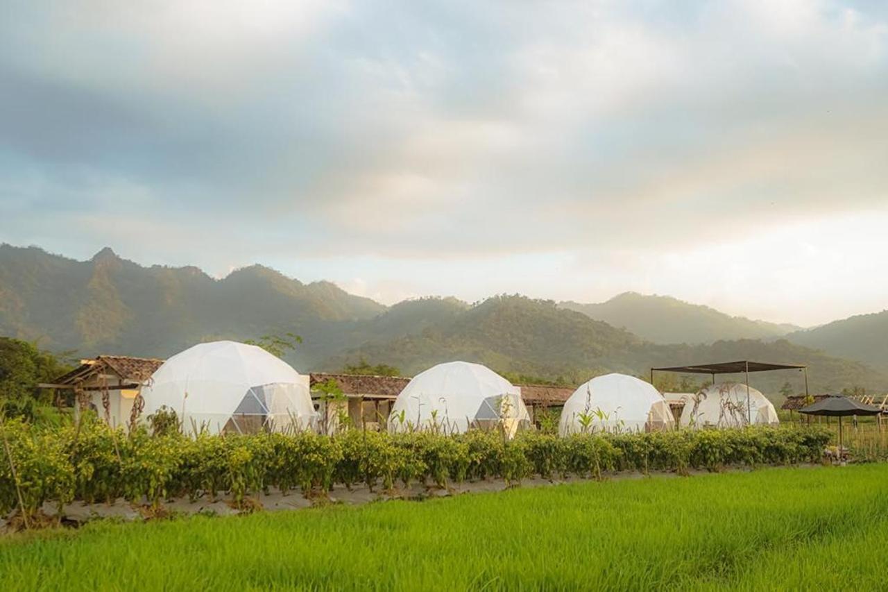 Borobudur Luxury Glamping 马格朗 外观 照片