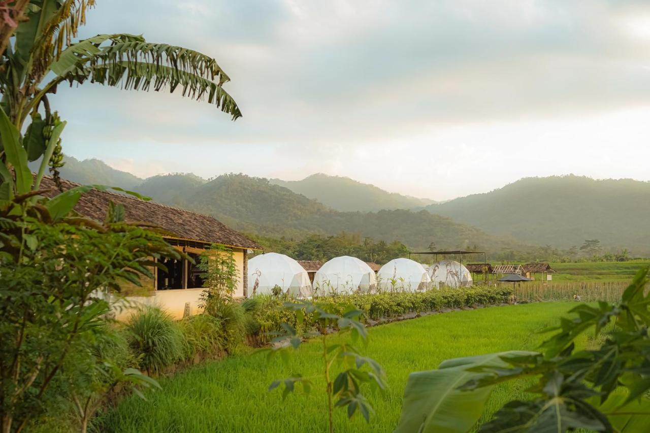 Borobudur Luxury Glamping 马格朗 外观 照片