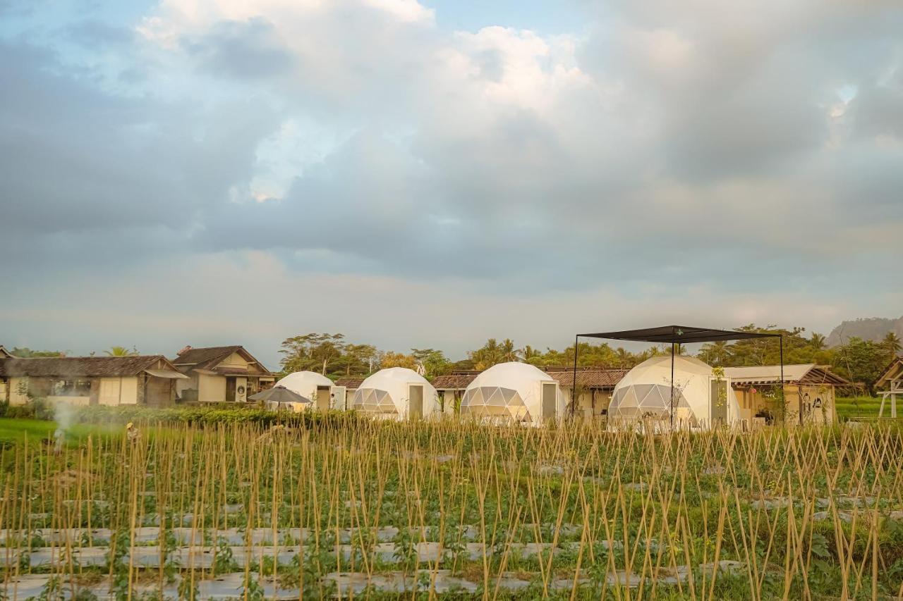 Borobudur Luxury Glamping 马格朗 外观 照片