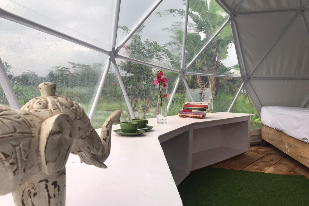 Borobudur Luxury Glamping 马格朗 外观 照片