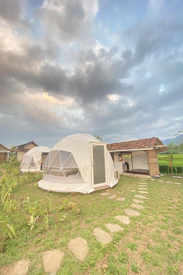 Borobudur Luxury Glamping 马格朗 外观 照片